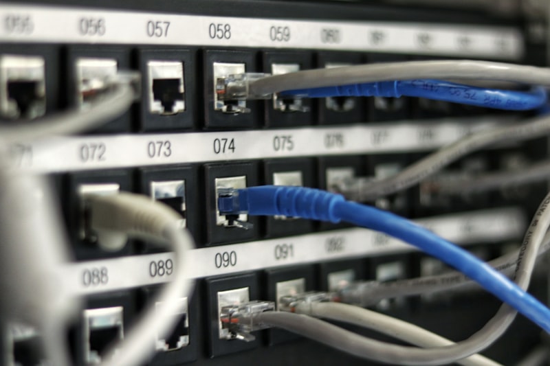 Domain & Hosting